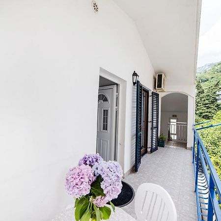 Apartments Vila Nikolic Rafajlovići Eksteriør bilde