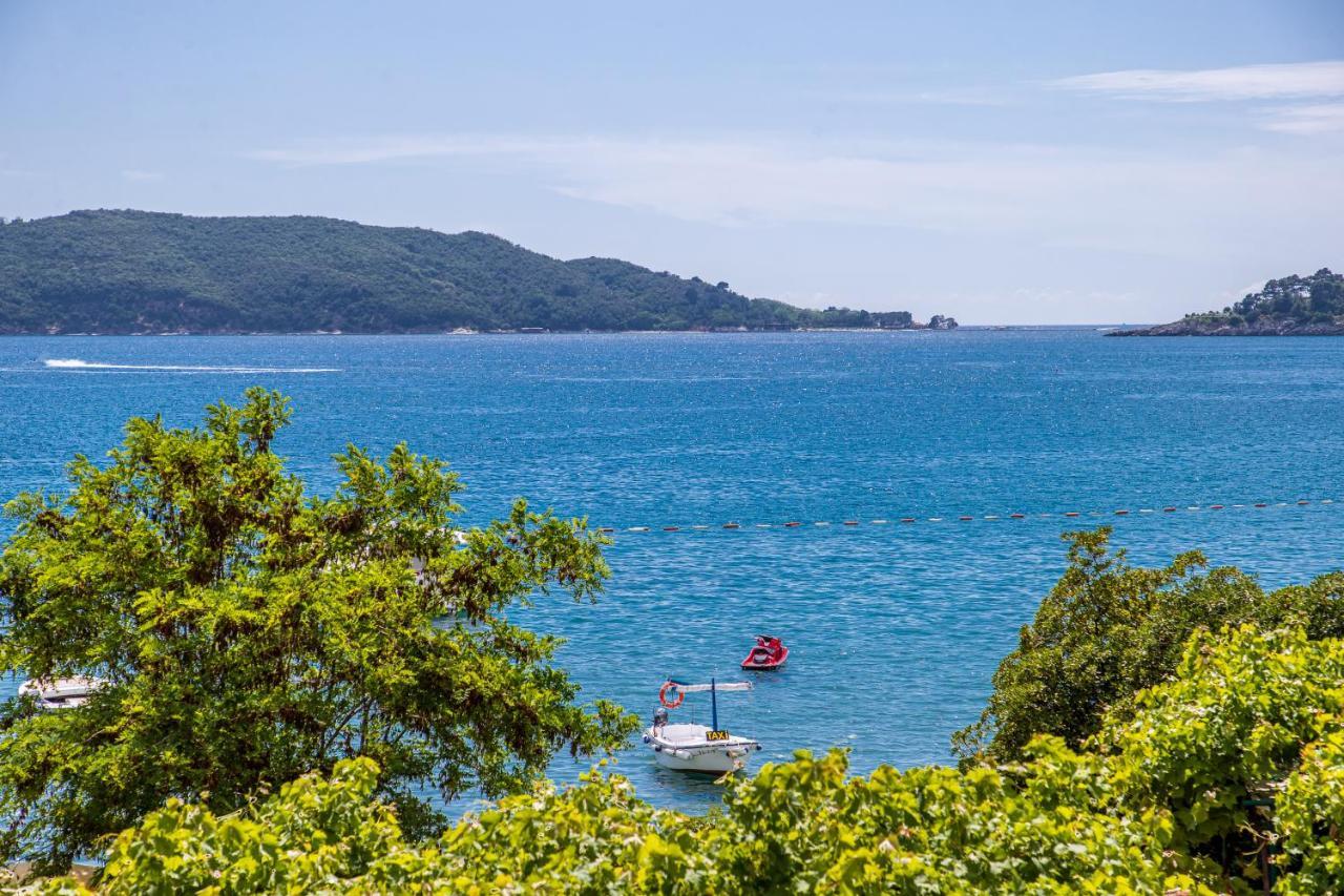 Apartments Vila Nikolic Rafajlovići Eksteriør bilde